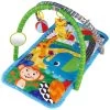 Eco Toys Lovely Zoo Groen Speelkleed Met Muziek HC506613