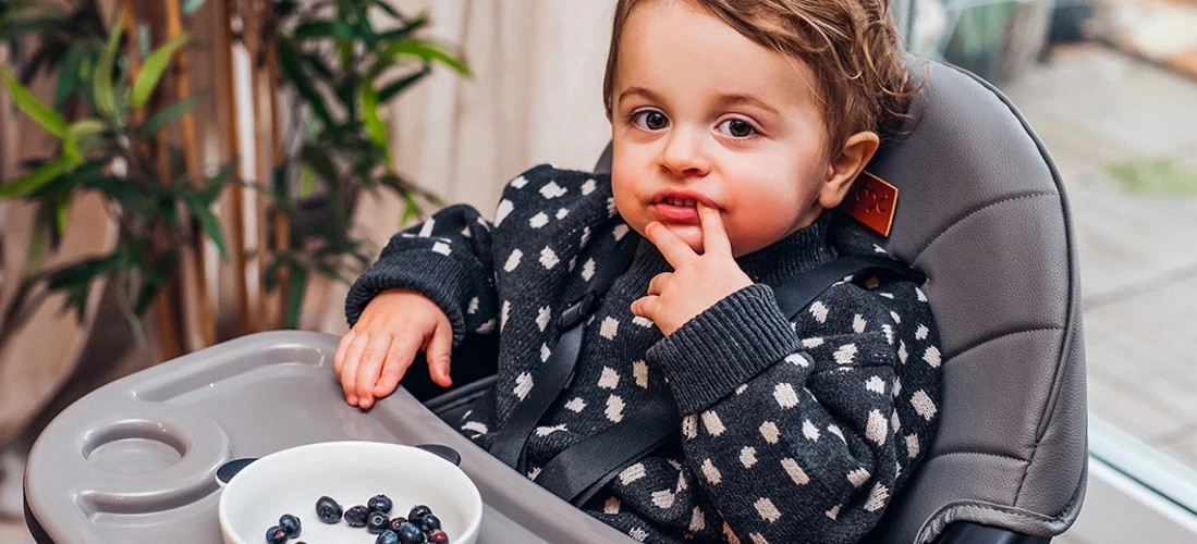 Momi Flovi Black/Grey 2-in-1 Kinderstoel KRKA00018 - Afbeelding 7